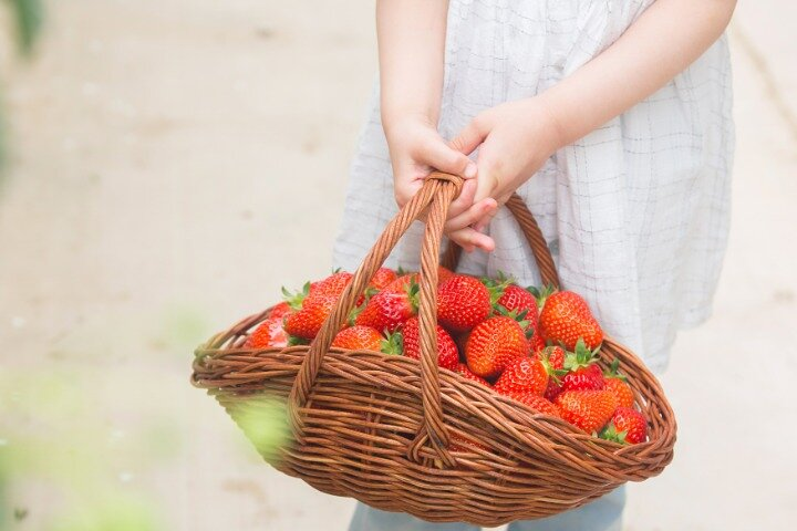 Ganghwado Activity+Ginseng/Strawbessy Experience Day Tour - Photo 1 of 8